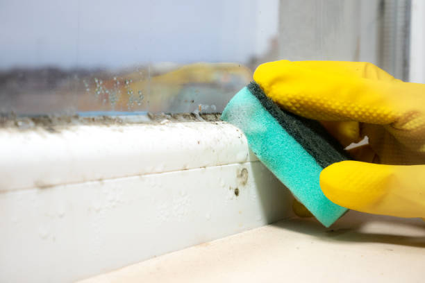 Best Mold Testing  in Westworth Village, TX